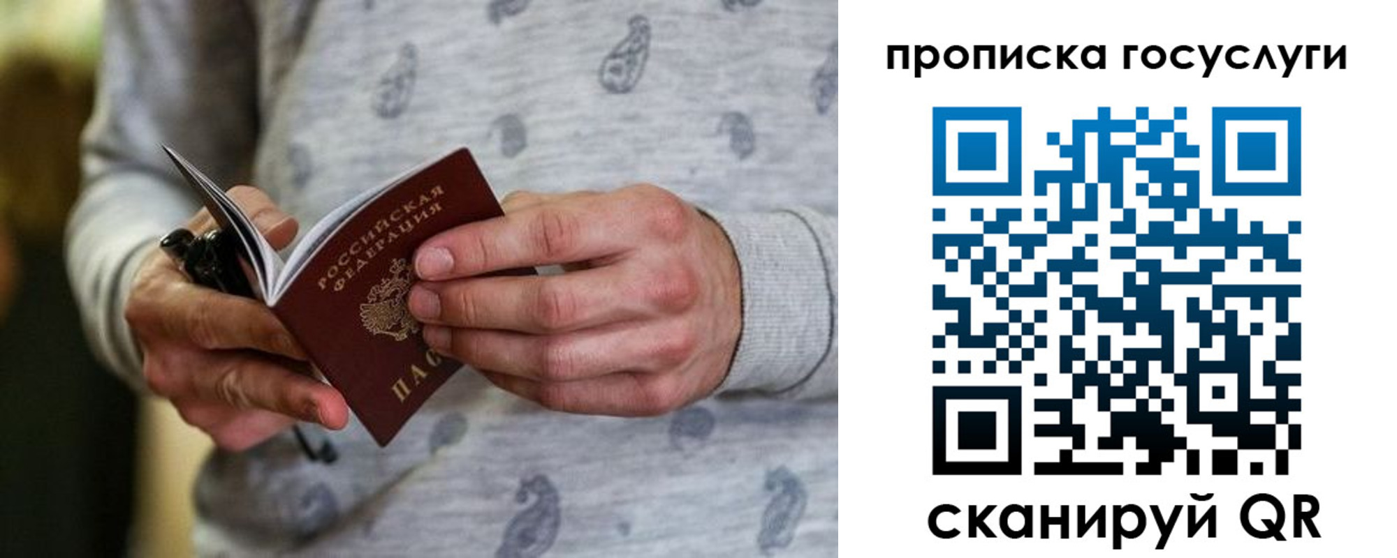 прописка в Павловске